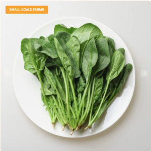 FRESH PALAK
