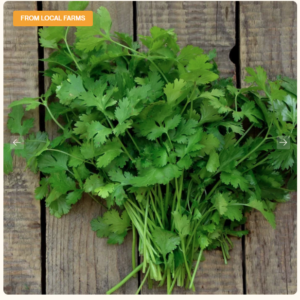 FRESH CORIANDER (WITHOUT ROOTS)
