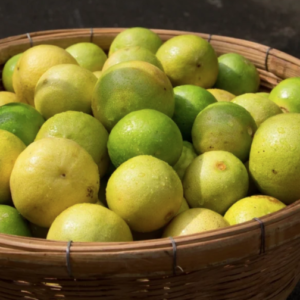 FRESH LEMON