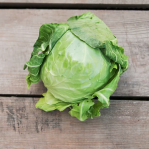 FRESH CABBAGE