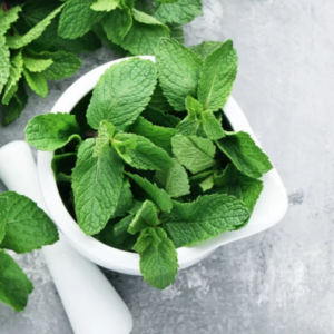 FRESH MINT LEAVES