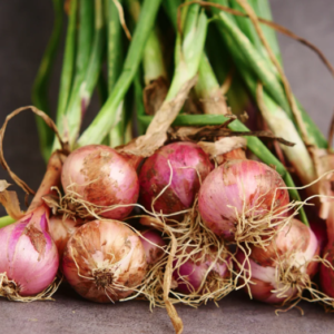 FRESH SPRING ONION