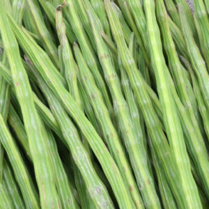 FRESH DRUMSTICKS