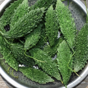 FRESH BITTER GOURD (KARELA)
