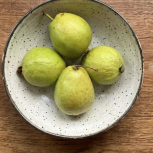FRESH GUAVA