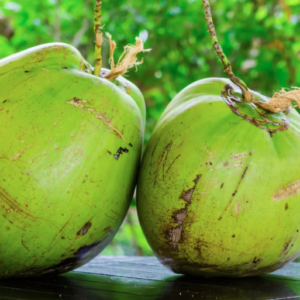 FRESH TENDER COCONUT