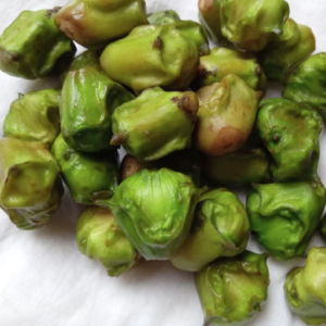 FRESH WATER CHESTNUT