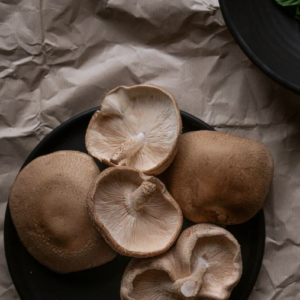 SHIITAKE MUSHROOM