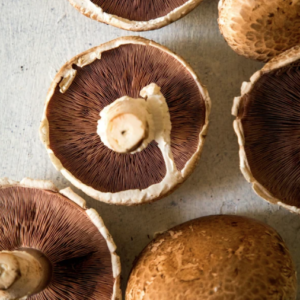 PORTOBELLO MUSHROOM