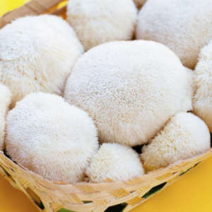 LION'S MANE MUSHROOM