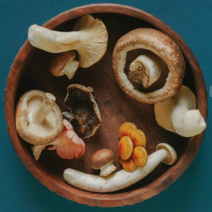 MUSHROOM MIX