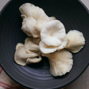 WHITE OYSTER MUSHROOM