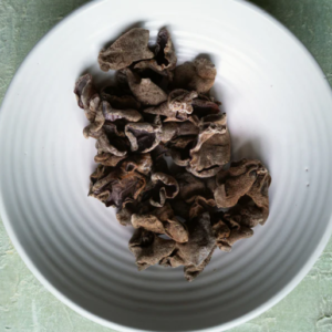 BLACK FUNGUS MUSHROOM