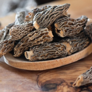 MOREL MUSHROOM